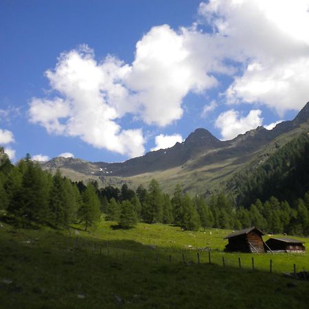 Bed & Breakfast Dolomiti Bey Haus Pinter Assling Dış mekan fotoğraf