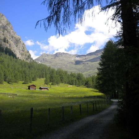Bed & Breakfast Dolomiti Bey Haus Pinter Assling Dış mekan fotoğraf