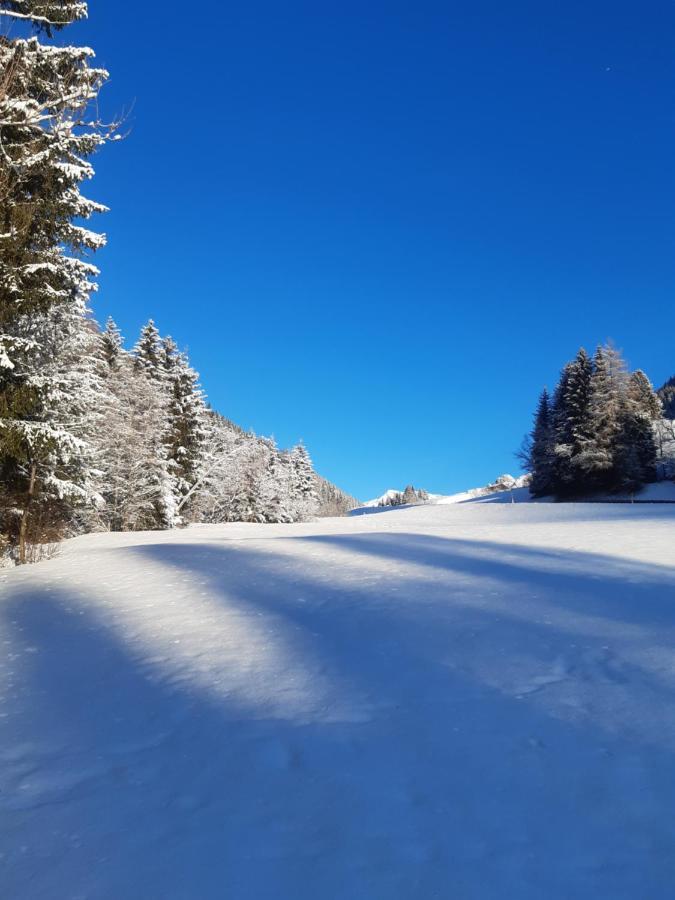Bed & Breakfast Dolomiti Bey Haus Pinter Assling Dış mekan fotoğraf
