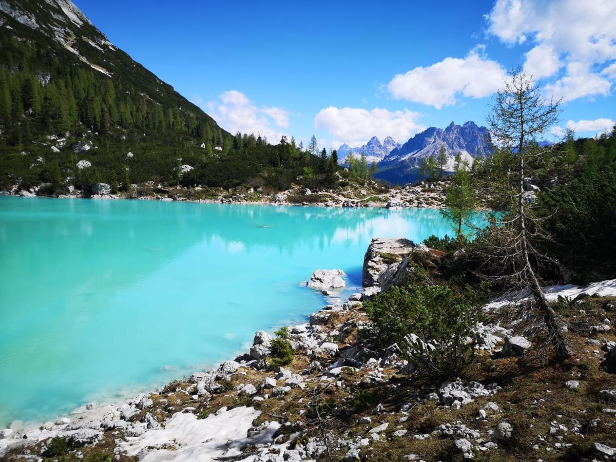 Bed & Breakfast Dolomiti Bey Haus Pinter Assling Dış mekan fotoğraf