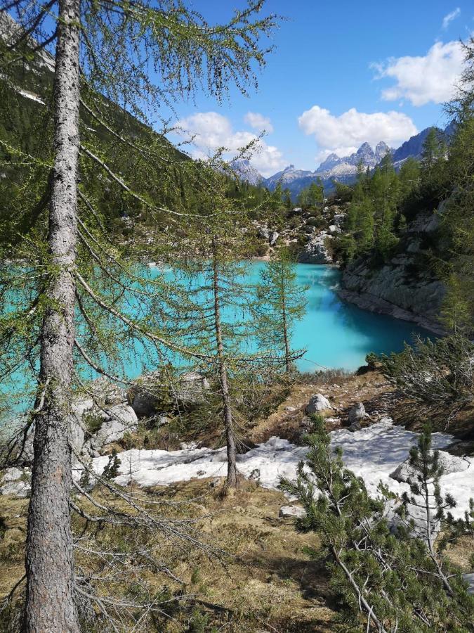 Bed & Breakfast Dolomiti Bey Haus Pinter Assling Dış mekan fotoğraf