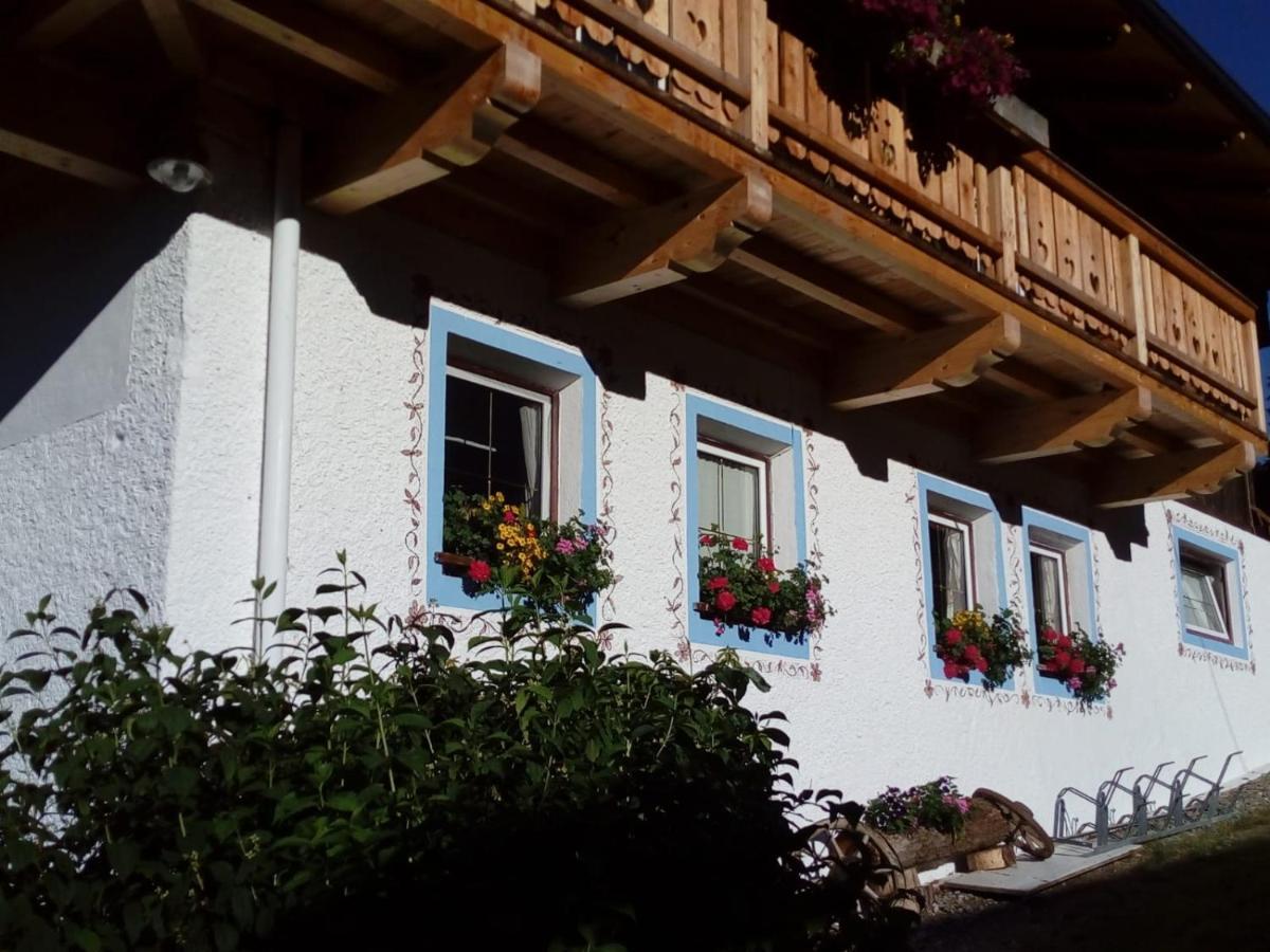 Bed & Breakfast Dolomiti Bey Haus Pinter Assling Dış mekan fotoğraf