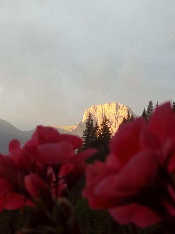 Bed & Breakfast Dolomiti Bey Haus Pinter Assling Dış mekan fotoğraf