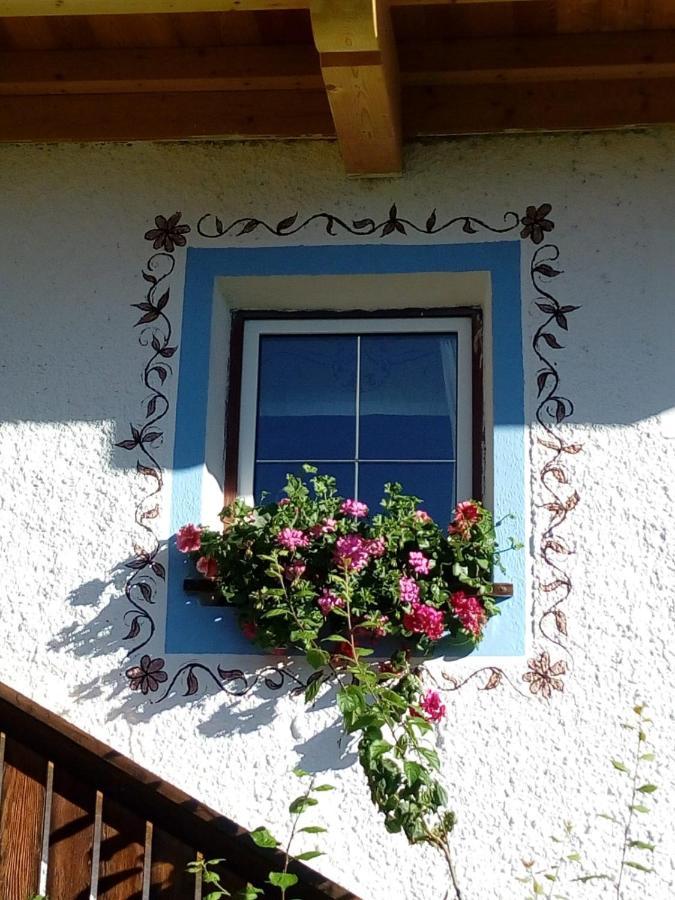 Bed & Breakfast Dolomiti Bey Haus Pinter Assling Dış mekan fotoğraf