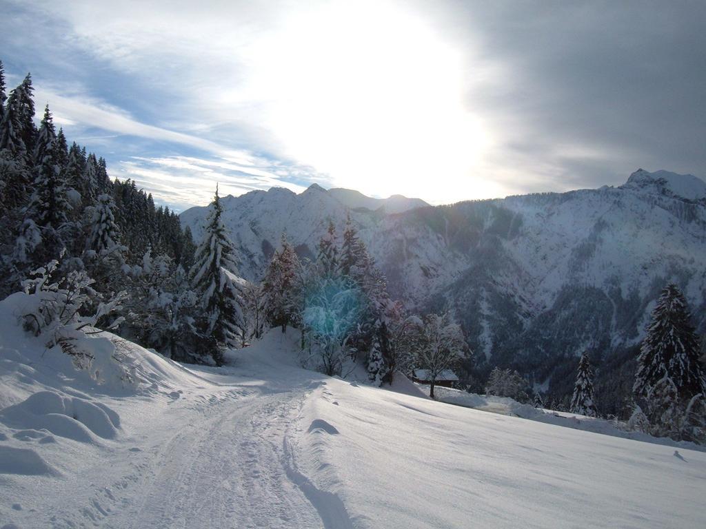 Bed & Breakfast Dolomiti Bey Haus Pinter Assling Dış mekan fotoğraf
