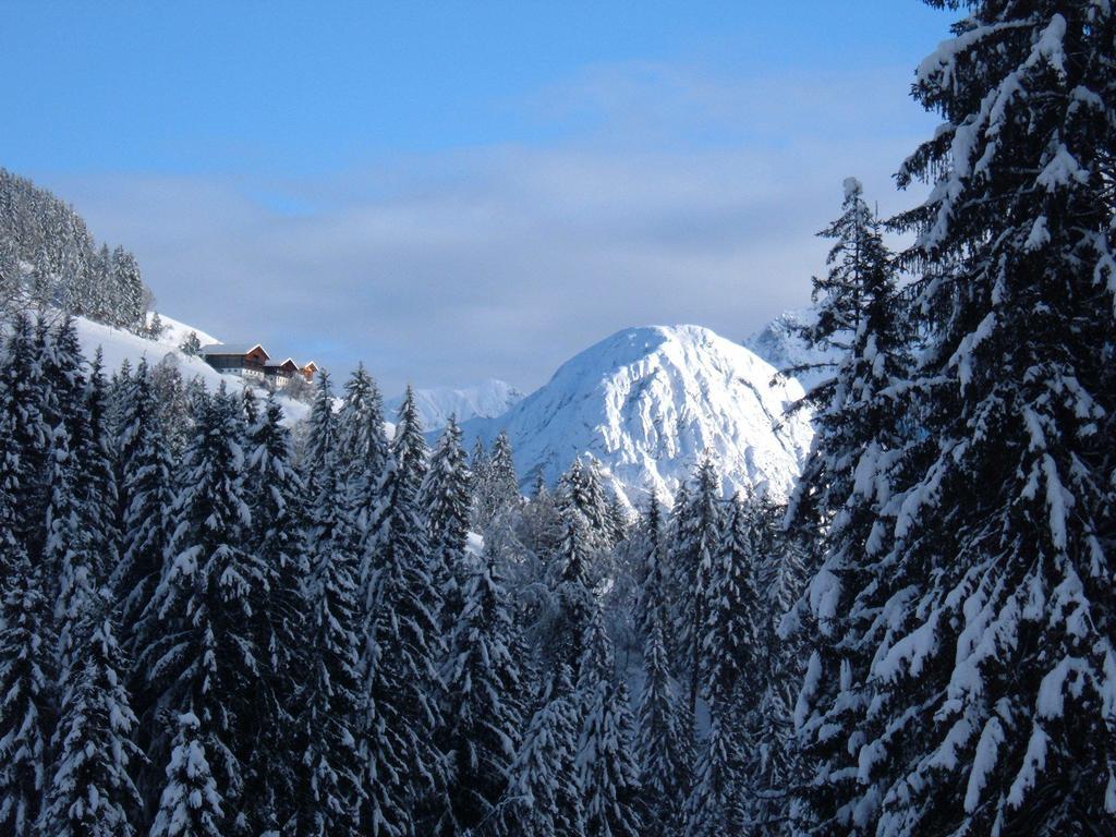Bed & Breakfast Dolomiti Bey Haus Pinter Assling Dış mekan fotoğraf