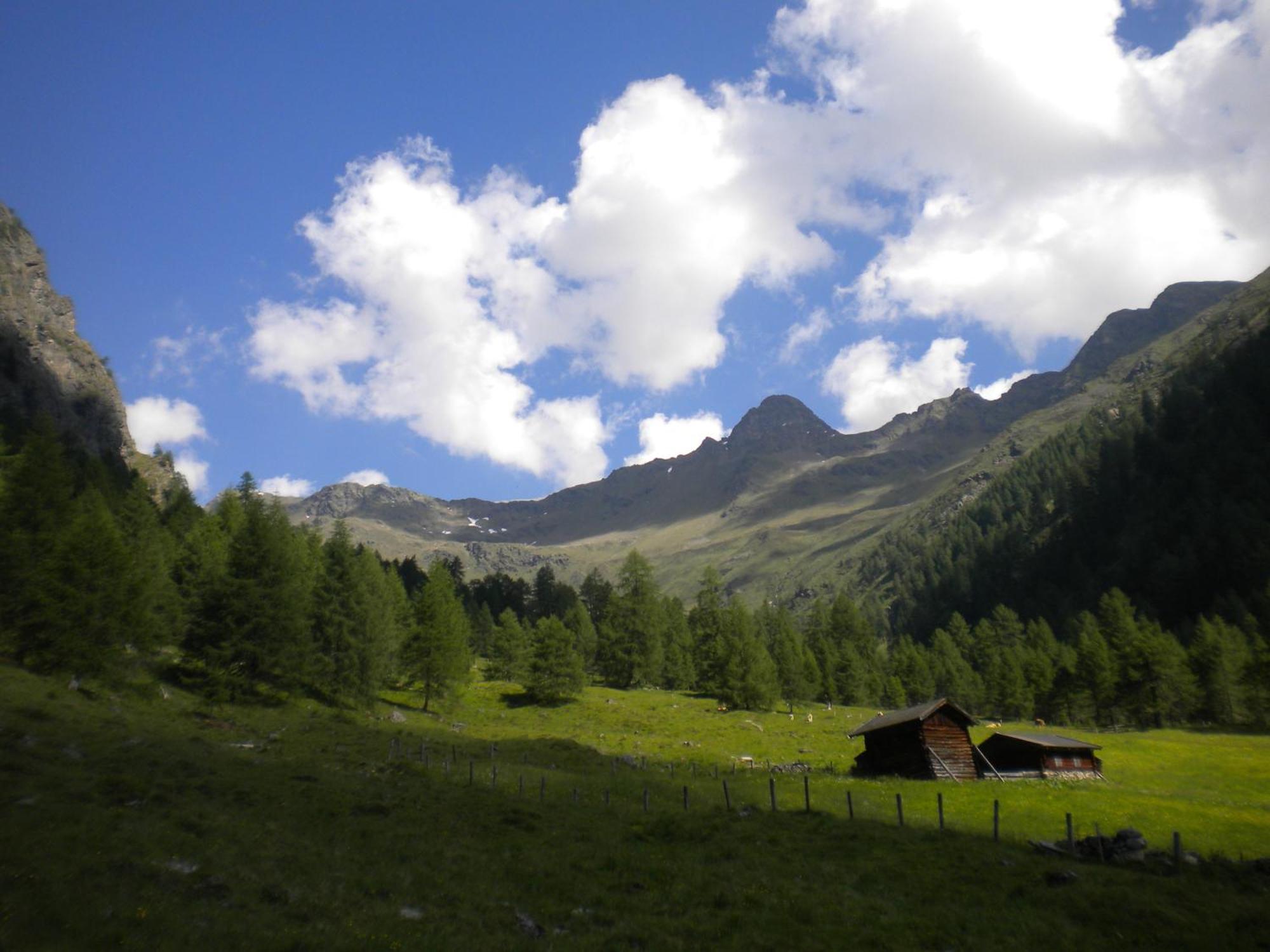 Bed & Breakfast Dolomiti Bey Haus Pinter Assling Dış mekan fotoğraf