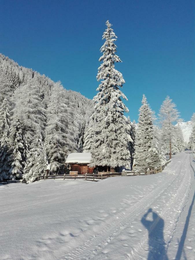 Bed & Breakfast Dolomiti Bey Haus Pinter Assling Dış mekan fotoğraf