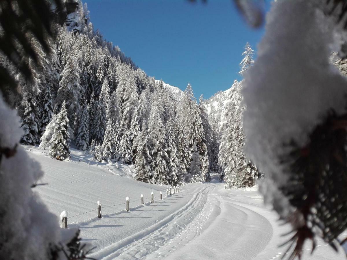 Bed & Breakfast Dolomiti Bey Haus Pinter Assling Dış mekan fotoğraf